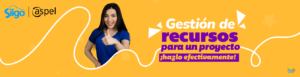Gestión de recursos para un proyecto