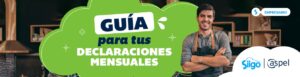 declaración mensual de impuestos